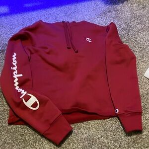 Cropped Champion Hoodie